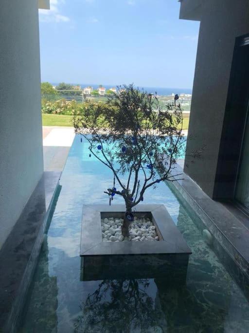 Mucize Villa Kuşadası